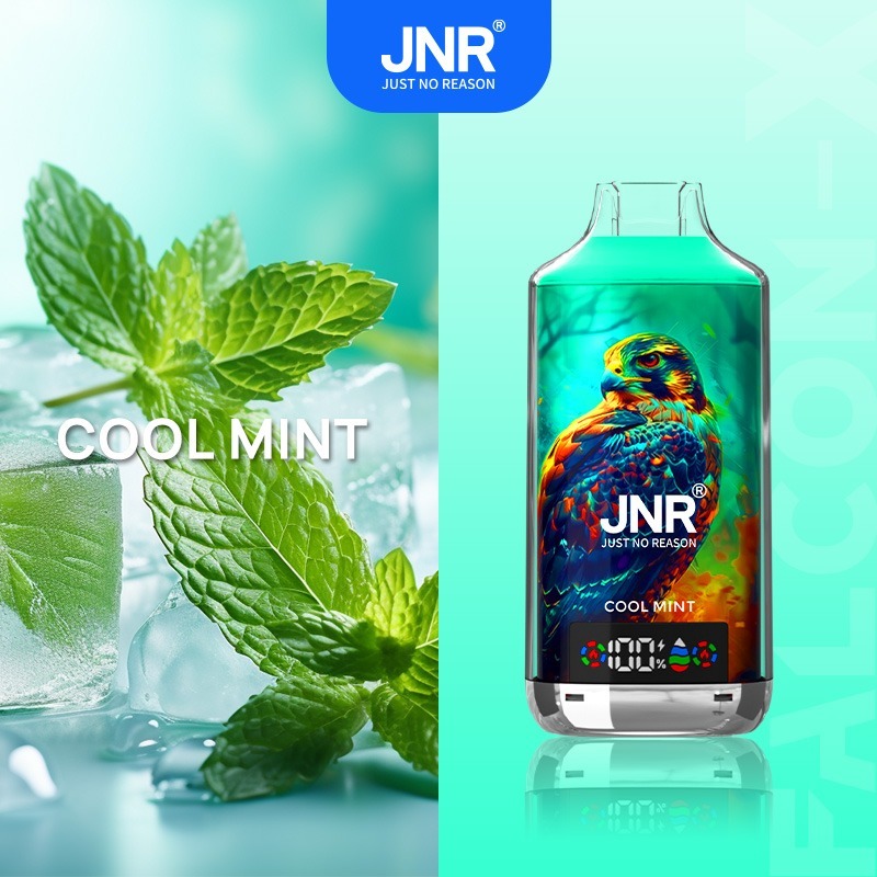 Cool Mint Jnr Falcon X Puff 18k Vape