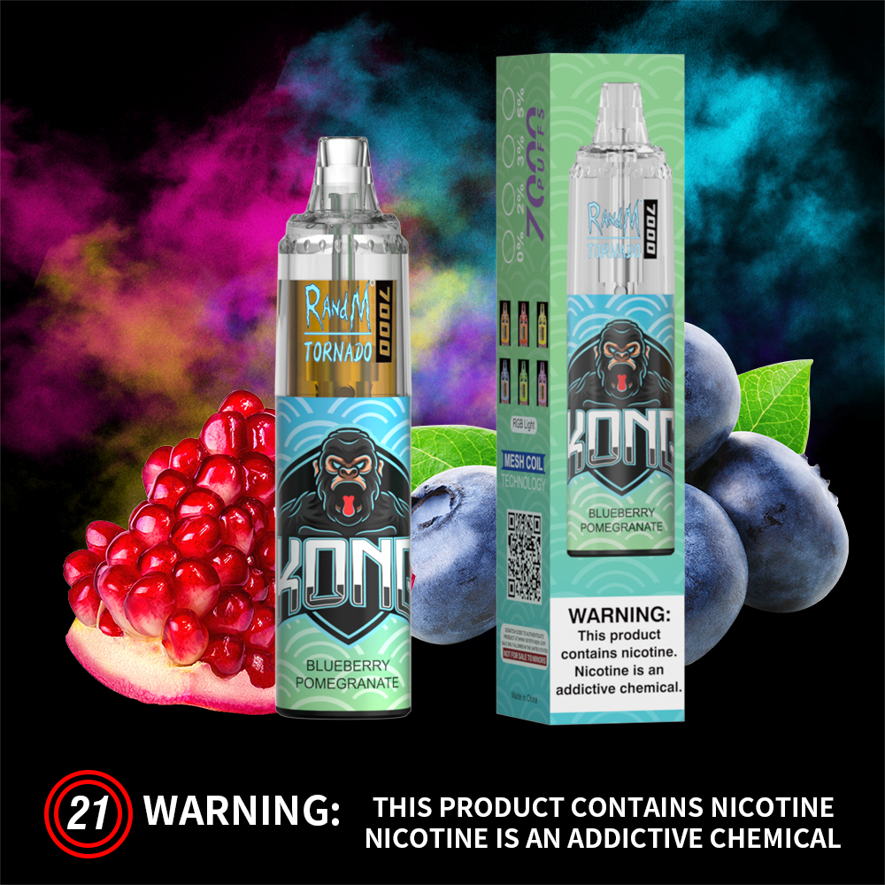 Blueberry Pomegranate Fumot RandM Tornado 7000 Puff Vape